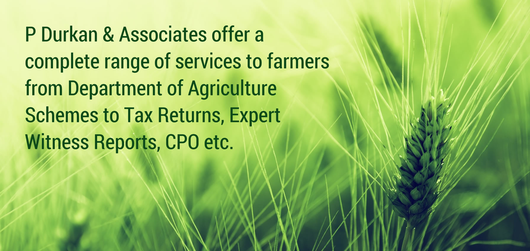 P Durkan & Associates offer a complete range of services to farmers from Department of Agriculture Schemes to Tax Returns, Expert Witness Reports, CPO etc.